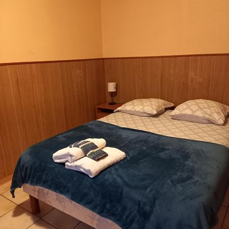 Les Appartements Du Lion De Belfort Luaran gambar