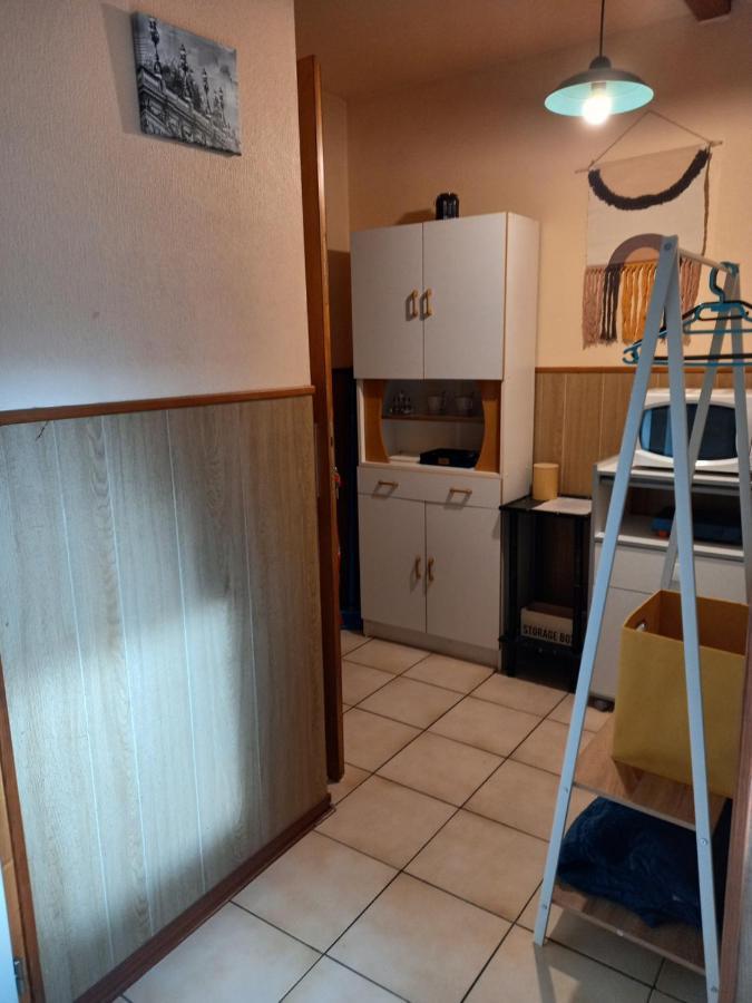 Les Appartements Du Lion De Belfort Luaran gambar
