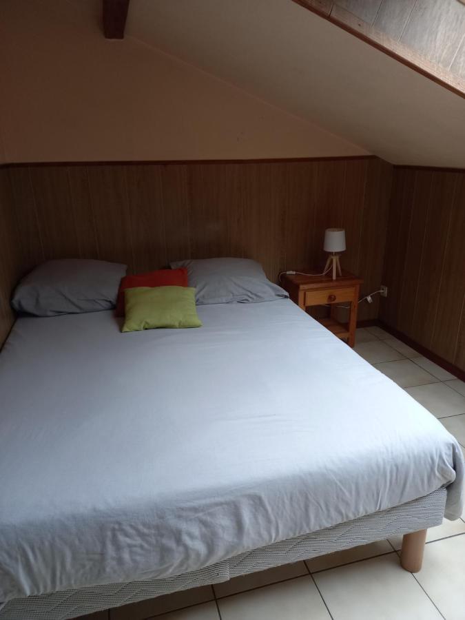 Les Appartements Du Lion De Belfort Luaran gambar