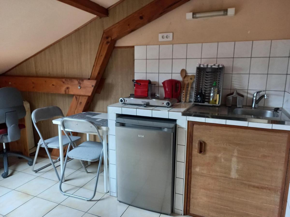 Les Appartements Du Lion De Belfort Luaran gambar