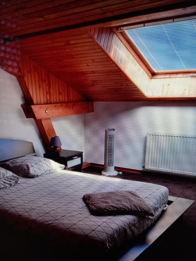 Les Appartements Du Lion De Belfort Luaran gambar