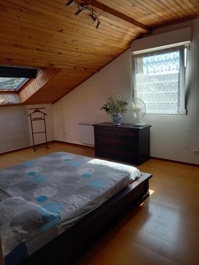 Les Appartements Du Lion De Belfort Luaran gambar