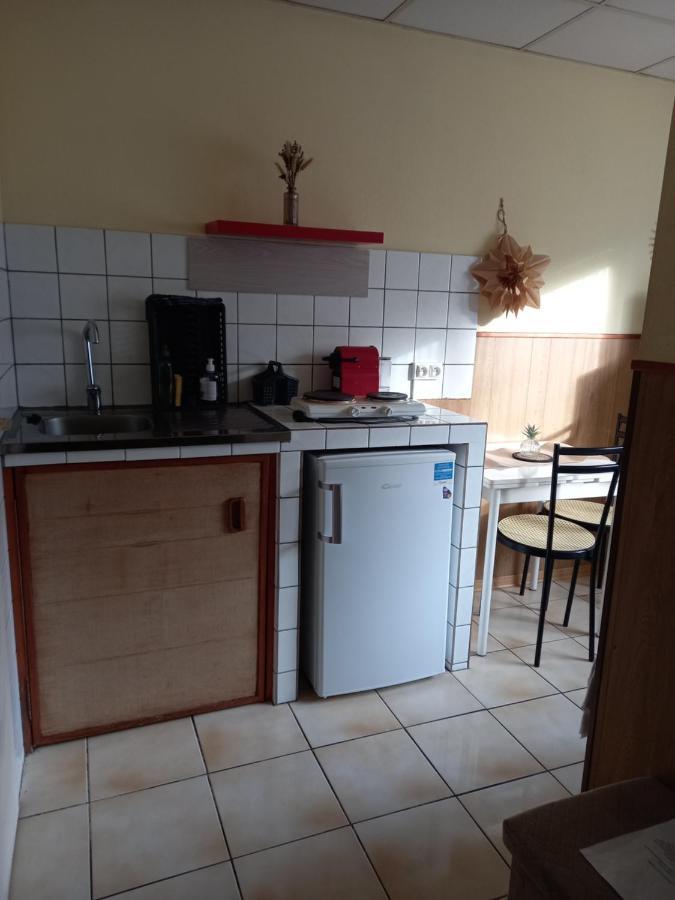Les Appartements Du Lion De Belfort Luaran gambar