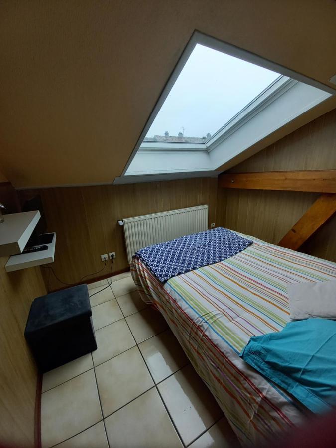 Les Appartements Du Lion De Belfort Luaran gambar
