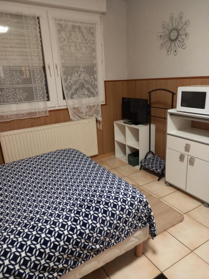 Les Appartements Du Lion De Belfort Luaran gambar