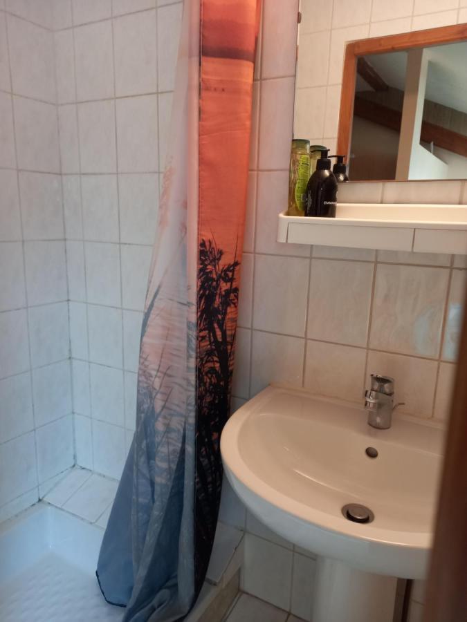 Les Appartements Du Lion De Belfort Luaran gambar