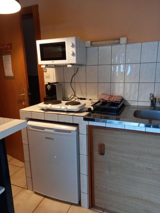 Les Appartements Du Lion De Belfort Luaran gambar