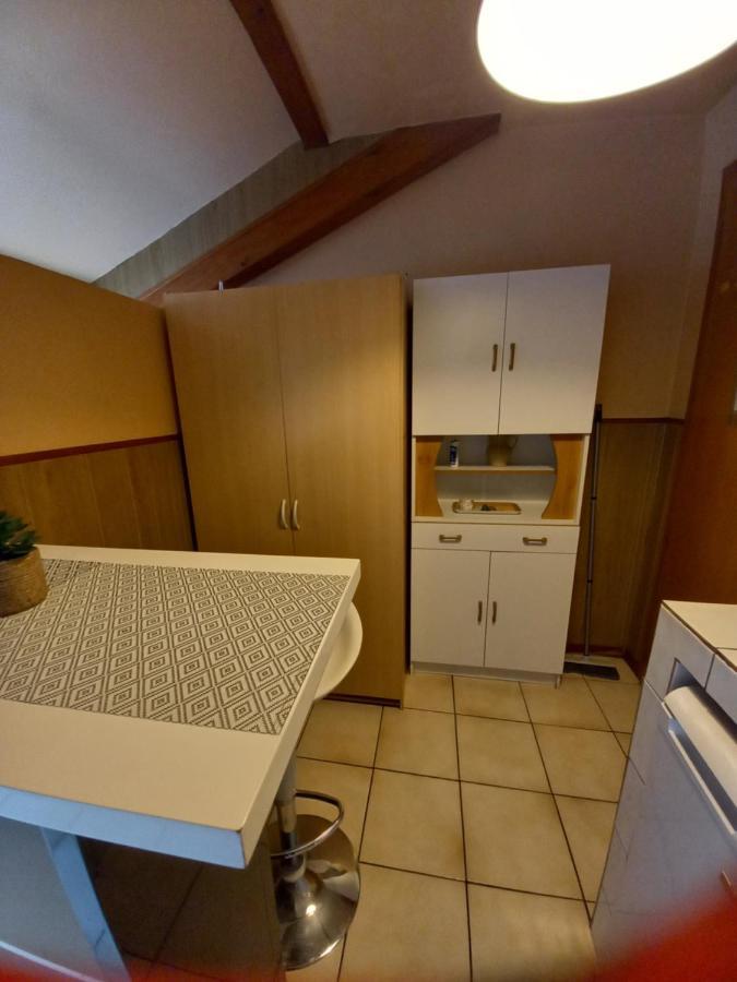 Les Appartements Du Lion De Belfort Luaran gambar