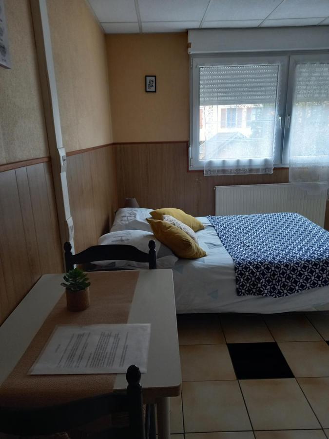 Les Appartements Du Lion De Belfort Luaran gambar